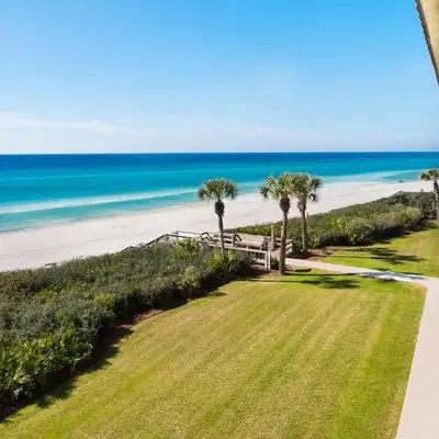 Palms C11