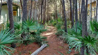 a dirt trail in the woods next to a house at Quietude in Santa Rosa Beach