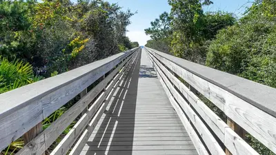 a wooden bridge over a forest with trees at Beachwood Villas 13A in Santa Rosa Beach