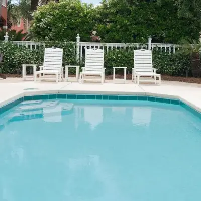 Dolphin House