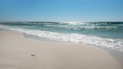 a bird walking on the beach near the ocean at Dune Villas 3B in Santa Rosa Beach
