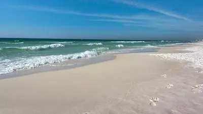 a beach with footprints in the sand and the ocean at Sand Cliffs 117 in Seacrest