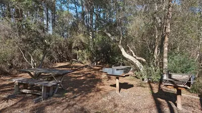 a picnic table and two benches in the woods at Cassine Gardens 219 - Flamingo Retreat in Santa Rosa Beach