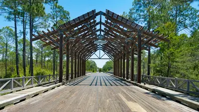 a wooden bridge over a road in a forest at 9 Prairie Pass in Santa Rosa Beach