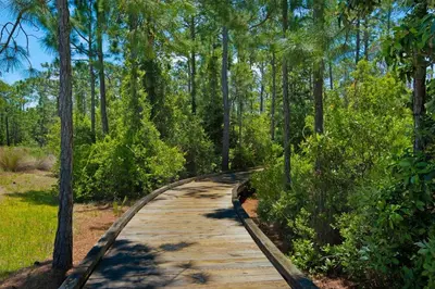 a wooden path through a forest with trees at Bluegrass by the Sea in Santa Rosa Beach
