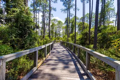 a wooden bridge in a forest with trees at Prominence North #89C - Sun Times in Watersound Beach