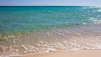 a sandy beach with the ocean in the background at The FUN Orange home in a Great Location with bonus GAME room in Rosemary Beach