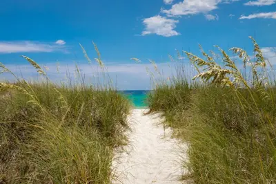 a path through the grass on a beach at Remarkably Updated 3/2 in Seagrove Highlands - Gulf Views Sleeps 9! in Santa Rosa Beach