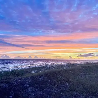 Paradise Found