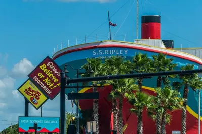 a sign that reads s stripy next to palm trees at Tidewater 2613 in Panama City Beach