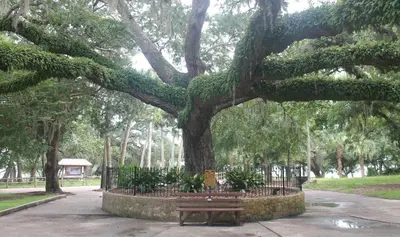 a park with a bench under a large tree at Historic GWALTNEY HOUSE-Cottage at St Andrew's Bay in Panama City