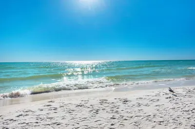 a bird standing on a sandy beach next to the ocean at Shores of Panama 1802 in Panama City Beach